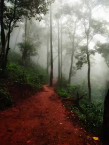 unnamed - 2025-09-22T114222.276