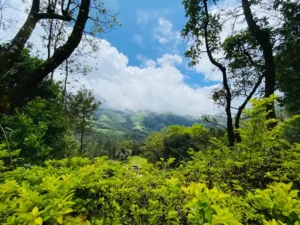 unnamed - 2025-09-22T114233.264